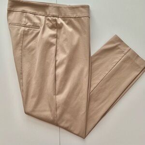 Ann Taylor Flat Front Side Zipper Khaki Ankle Pants Size 10